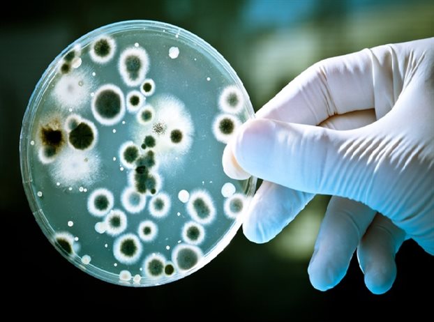 Το 57% του ανθρώπινου σώματος αποτελείται από βακτήρια, ιούς και μύκητες - Φωτογραφία 1