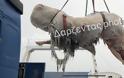Σαντορίνη: 30 κιλά πλαστικής σακούλας είχε καταπιεί η φάλαινα που βρέθηκε νεκρή - Φωτογραφία 2