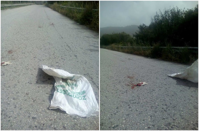 Ηγουμενίτσα: Αποτροπιασμός για τα κουταβάκια που πετάχθηκαν στο δρόμο - Φωτογραφία 1