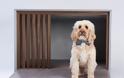Δείτε τα πιο πρωτότυπα σπίτια σκύλων, που σχεδιάστηκαν για καλό σκοπό - Φωτογραφία 6
