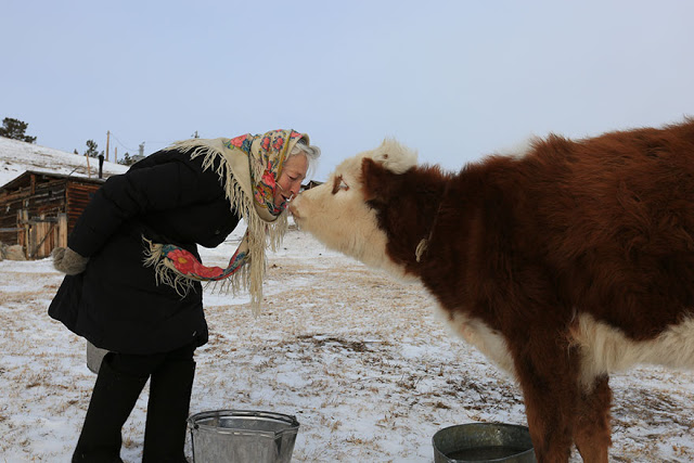 Συγκινητικό: 76χρονη στη Σιβηρία κάνει καθημερινά πατινάζ πάνω στο πάγο σε για να ταΐζει ζώα - Φωτογραφία 2
