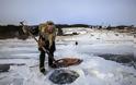 Συγκινητικό: 76χρονη στη Σιβηρία κάνει καθημερινά πατινάζ πάνω στο πάγο σε για να ταΐζει ζώα - Φωτογραφία 3