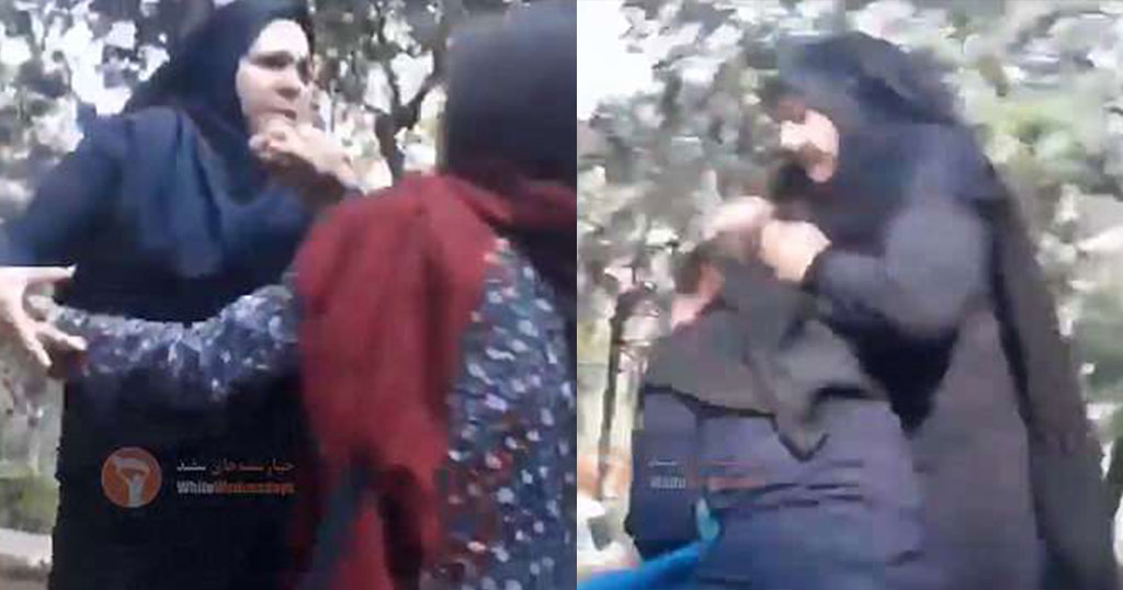 Είστε μεγάλα ζώα, κυρίες μου! Που είναι η αλληλεγγύη σας; Ιρανές μουσουλμάνες δέρνουν νεαρή γιατί ήταν χαλαρή η μαντίλα της [video] - Φωτογραφία 1