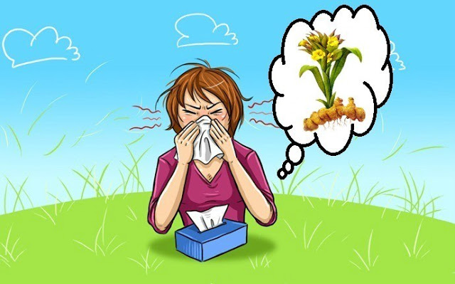 Αλλεργική ρινίτιδα: Μέτρα πρόληψης και φυσικοί τρόποι αντιμετώπισης - Φωτογραφία 1
