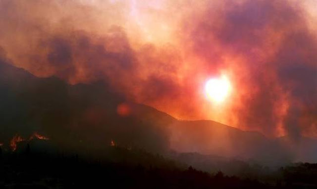 800 πυρκαγιές στην Ηλεία το 2017 - «Καμπανάκι» ενόψει καλοκαιριού - Φωτογραφία 1