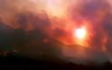 800 πυρκαγιές στην Ηλεία το 2017 - «Καμπανάκι» ενόψει καλοκαιριού