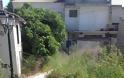 Σκηνικό εγκατάλειψης στο ΙΣΤΟΡΙΚΟ ΚΕΝΤΡΟ ΒΟΝΙΤΣΑΣ -Το «στολίδι» της πόλης είναι απεριποίητο γεμάτο ακαθάριστα χόρτα!! (ΦΩΤΟ) - Φωτογραφία 7