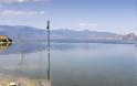 Η ανόθευτη φυσική ομορφιά της λίμνης Βεγορίτιδας - Φωτογραφία 2