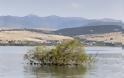 Η ανόθευτη φυσική ομορφιά της λίμνης Βεγορίτιδας - Φωτογραφία 5