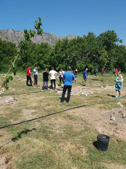 Ολοκληρώθηκε η Συμμετοχή της Κοινωφελούς Επιχείρησης Δήμου Ξηρομέρου στην δράση «Let’s do it Greece 2018» (ΦΩΤΟ) - Φωτογραφία 16