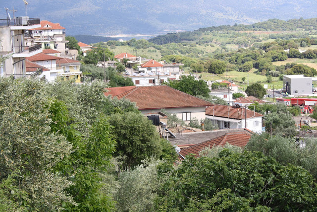 Ξεχωριστή ΚΑΤΟΥΝΑ! (δείτε φωτογραφίες του Παναγιώτη Τσούτσουρα) - Φωτογραφία 11