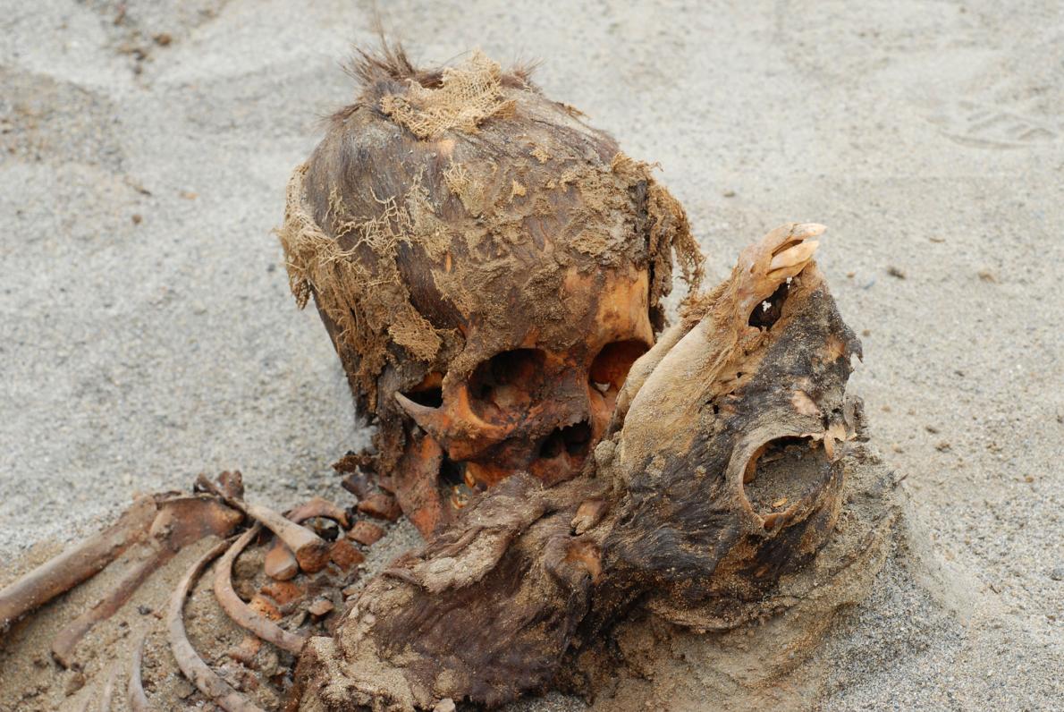 Αρχαιολόγοι βρήκαν ομαδικό τάφο με 140 παιδιά που θυσιάστηκαν στο Περού - Φωτογραφία 2