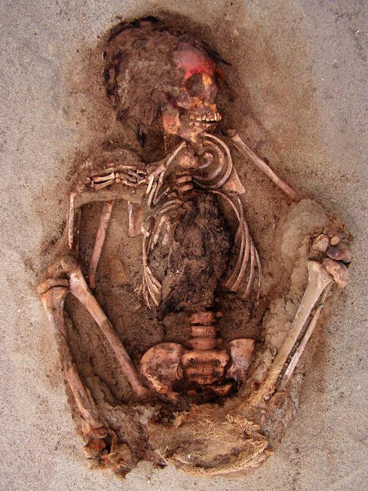 Αρχαιολόγοι βρήκαν ομαδικό τάφο με 140 παιδιά που θυσιάστηκαν στο Περού - Φωτογραφία 3