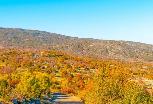 Ταξίδι στο γραφικό Πηγάδι Κυνουρίας που κατοικείται από το 1826 - Φωτογραφία 1