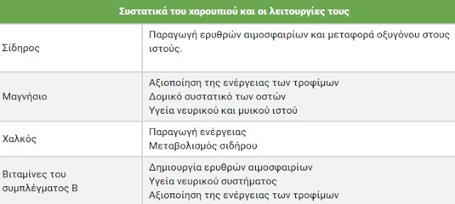 Ποια θέση έχει το χαρούπι στη διατροφή μας; - Φωτογραφία 3