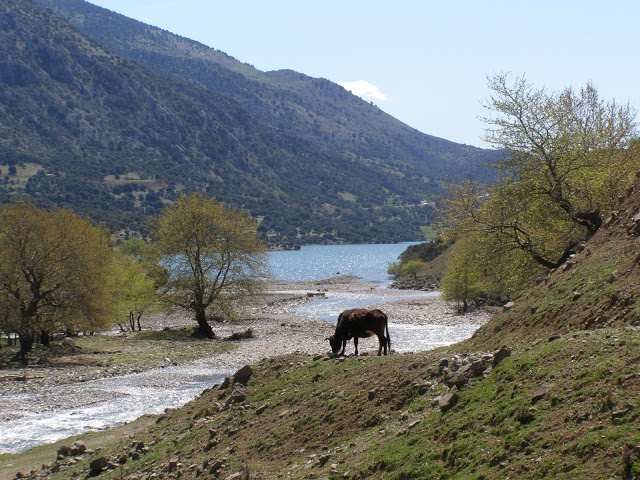 Θρυλικά τέρατα των Ελληνικών λιμνών - Φωτογραφία 18