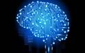 Το λες και τρομακτικό: Επιστήμονες διατήρησαν ζωντανούς εγκεφάλους επί 36 ώρες χωρίς το… σώμα!