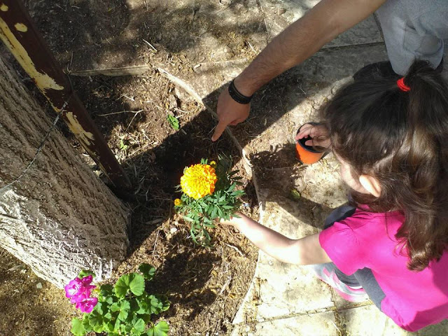 Συμμετοχή της ΧΡΥΣΟΒΙΤΣΑΣ Ξηρομέρου στην εθελοντική δράση Let 's do it Greece 2018 (ΦΩΤΟ) - Φωτογραφία 2