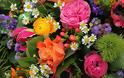 Τα λουλούδια και η θεραπευτική τους επίδραση στη διάθεση, στην κατάθλιψη, την ανάρρωση, την κόπωση - Φωτογραφία 1