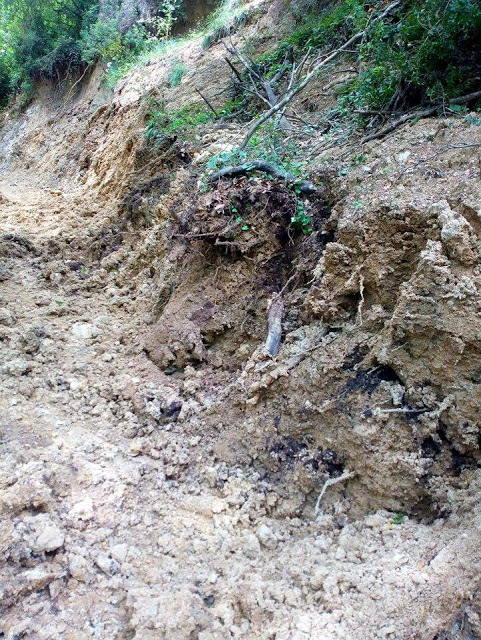 Χωρίς άρδευση δεκάδες στρέμματα στο ΘΥΡΡΕΙΟ - Έσπασε ο αγωγός ενώ βούλωσαν από κλαδιά και οι αύλακες άρδευσης!! - Φωτογραφία 5