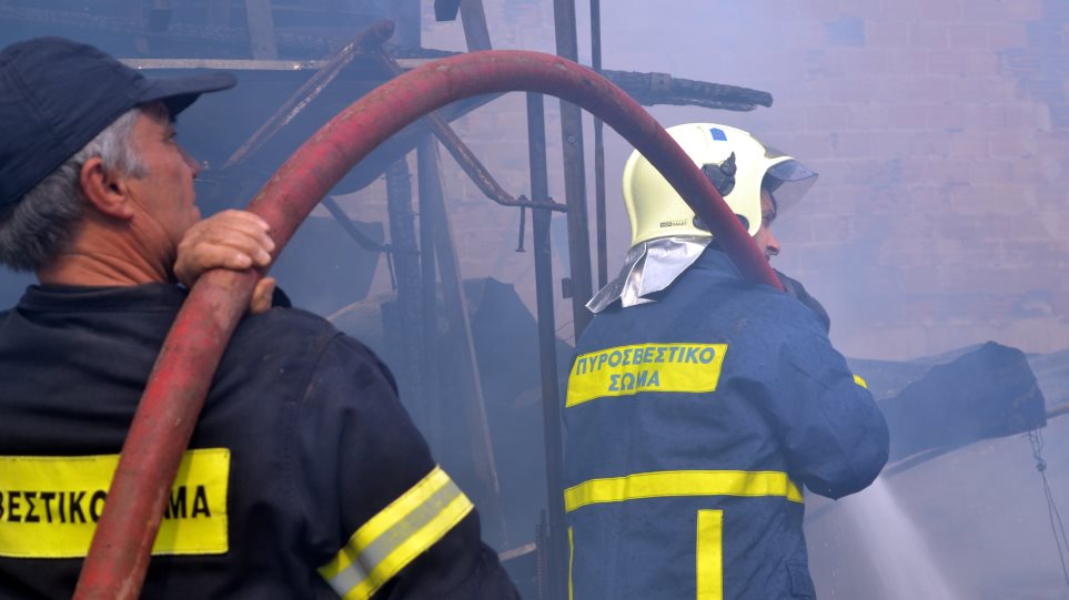 Κάηκαν ζωντανά 180 ζώα στα Γρεβενά - Φωτογραφία 1