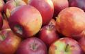 ΗΠΑ: Πρόστιμο 500 δολαρίων σε μια γυναίκα για ένα... δωρεάν μήλο
