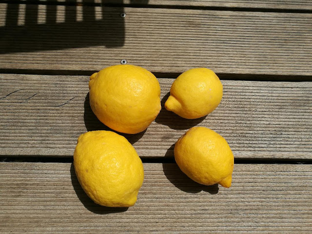 Είναι το κίτρινο το νέο «μαύρο»; - Φωτογραφία 2