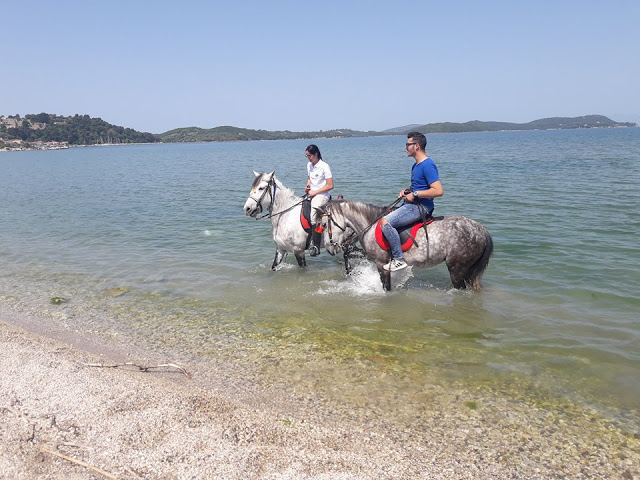 Πρωτομαγιά και γιορτή αλόγου στη ΒΟΝΙΤΣΑ (ΦΩΤΟ) - Φωτογραφία 1