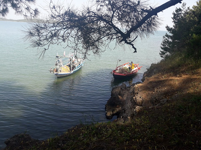 Πρωτομαγιά και γιορτή αλόγου στη ΒΟΝΙΤΣΑ (ΦΩΤΟ) - Φωτογραφία 120