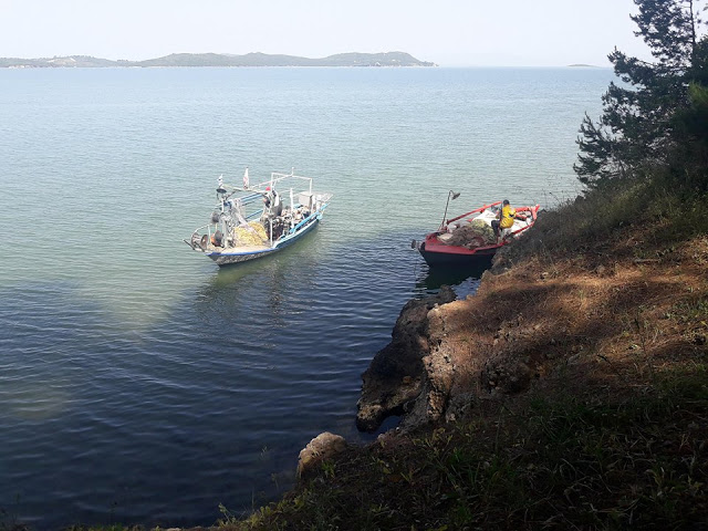 Πρωτομαγιά και γιορτή αλόγου στη ΒΟΝΙΤΣΑ (ΦΩΤΟ) - Φωτογραφία 123