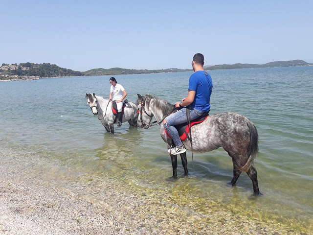 Πρωτομαγιά και γιορτή αλόγου στη ΒΟΝΙΤΣΑ (ΦΩΤΟ) - Φωτογραφία 13