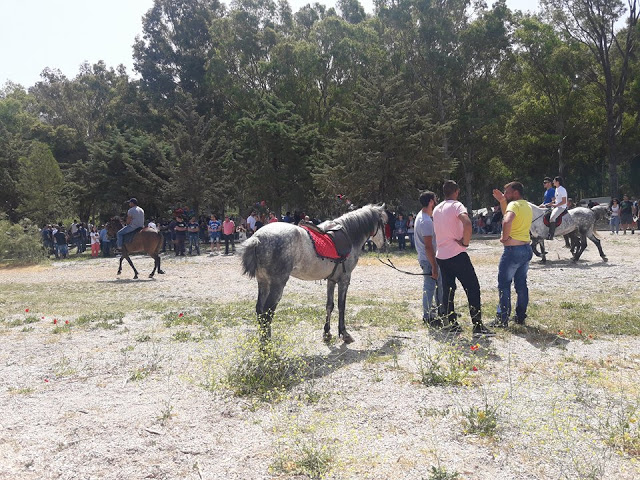 Πρωτομαγιά και γιορτή αλόγου στη ΒΟΝΙΤΣΑ (ΦΩΤΟ) - Φωτογραφία 31