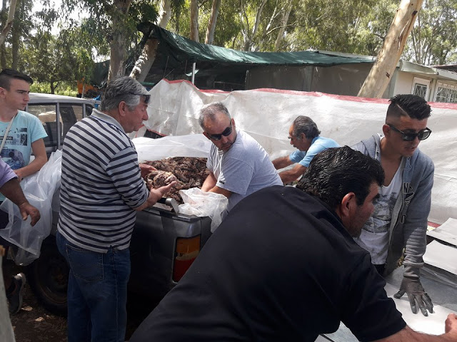 Πρωτομαγιά και γιορτή αλόγου στη ΒΟΝΙΤΣΑ (ΦΩΤΟ) - Φωτογραφία 46