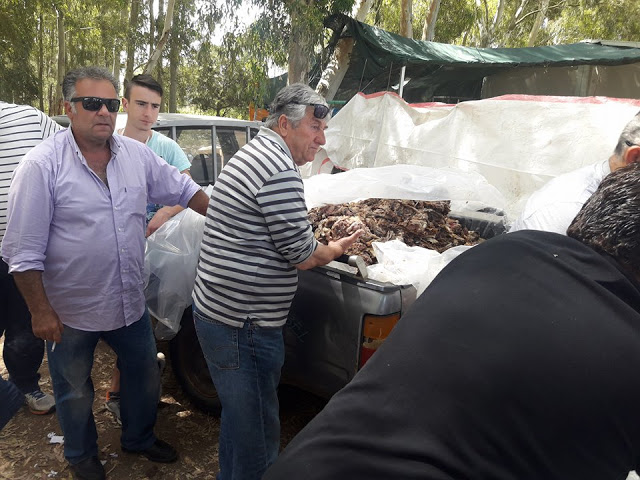 Πρωτομαγιά και γιορτή αλόγου στη ΒΟΝΙΤΣΑ (ΦΩΤΟ) - Φωτογραφία 47