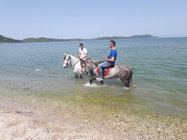 Πρωτομαγιά και γιορτή αλόγου στη ΒΟΝΙΤΣΑ (ΦΩΤΟ) - Φωτογραφία 50