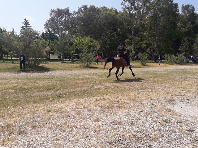 Πρωτομαγιά και γιορτή αλόγου στη ΒΟΝΙΤΣΑ (ΦΩΤΟ) - Φωτογραφία 67