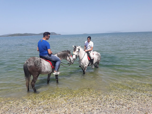 Πρωτομαγιά και γιορτή αλόγου στη ΒΟΝΙΤΣΑ (ΦΩΤΟ) - Φωτογραφία 69