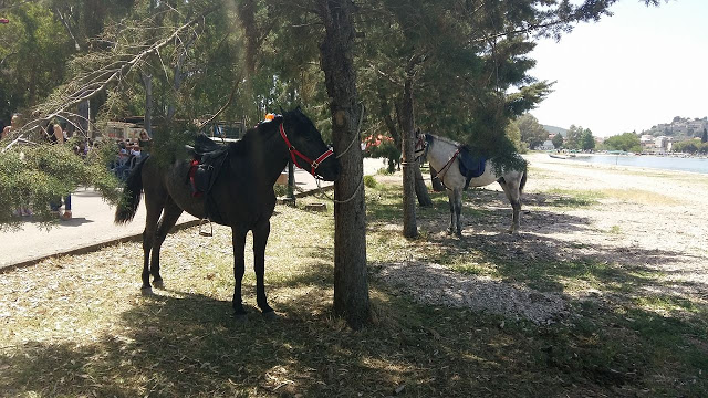 Πρωτομαγιά και γιορτή αλόγου στη ΒΟΝΙΤΣΑ (ΦΩΤΟ) - Φωτογραφία 84