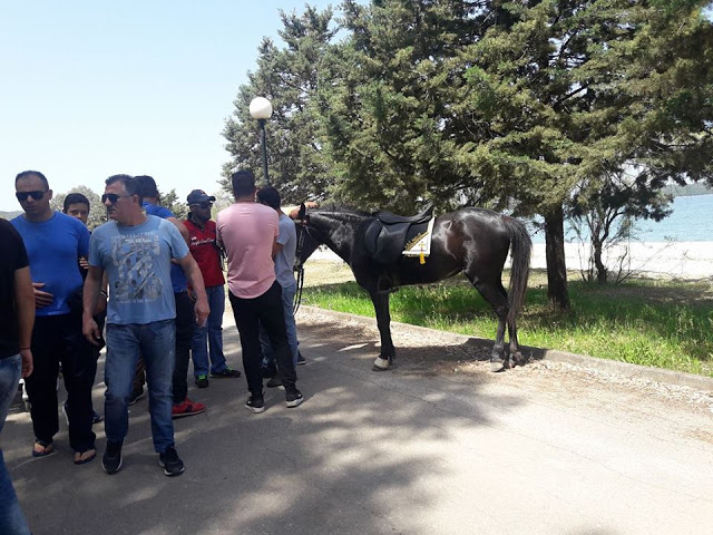 ΚΙ ΑΛΛΕΣ ΕΙΚΟΝΕΣ απο την Πρωτομαγιά και γιορτή αλόγου στη ΒΟΝΙΤΣΑ (ΦΩΤΟ: Στέλλα Λιάπη) - Φωτογραφία 26