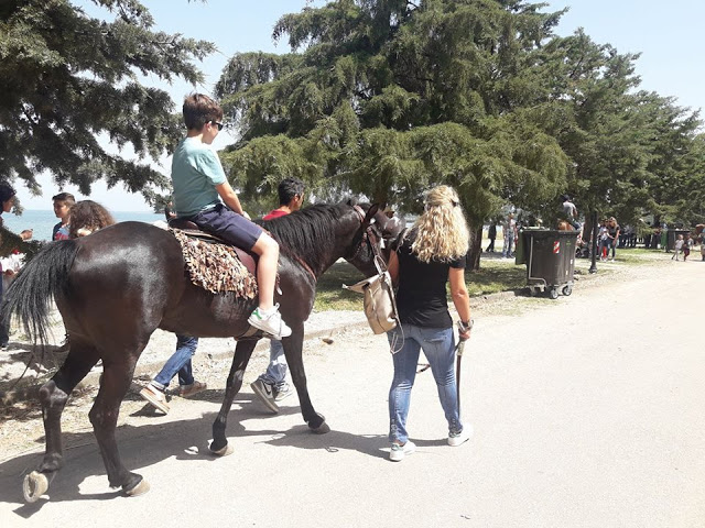 ΚΙ ΑΛΛΕΣ ΕΙΚΟΝΕΣ απο την Πρωτομαγιά και γιορτή αλόγου στη ΒΟΝΙΤΣΑ (ΦΩΤΟ: Στέλλα Λιάπη) - Φωτογραφία 9