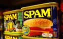 Η ιστορία του Spam