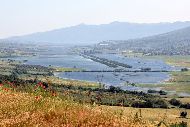 Εικόνες απο τη λίμνη Αμβρακία (στη περιοχή του χωριού Στάνος) -ΦΩΤΟ: Γιάννης Γιαννακόπουλος - Φωτογραφία 2