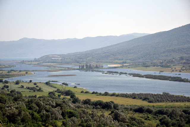 Εικόνες απο τη λίμνη Αμβρακία (στη περιοχή του χωριού Στάνος) -ΦΩΤΟ: Γιάννης Γιαννακόπουλος - Φωτογραφία 3