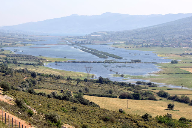 Εικόνες απο τη λίμνη Αμβρακία (στη περιοχή του χωριού Στάνος) -ΦΩΤΟ: Γιάννης Γιαννακόπουλος - Φωτογραφία 5