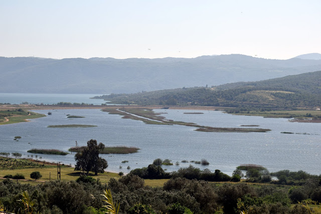 Εικόνες απο τη λίμνη Αμβρακία (στη περιοχή του χωριού Στάνος) -ΦΩΤΟ: Γιάννης Γιαννακόπουλος - Φωτογραφία 7