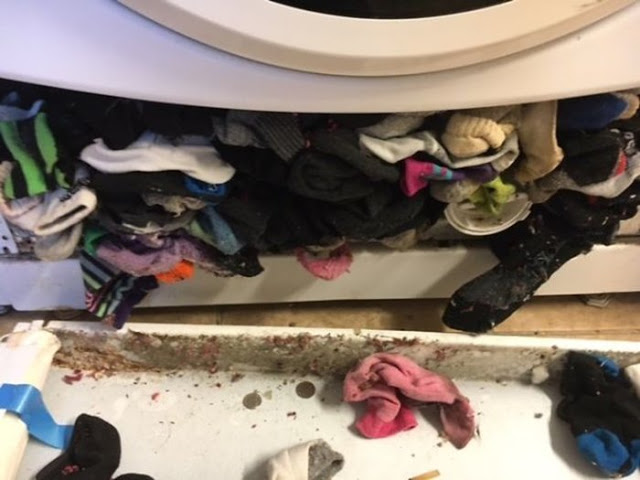 Πού πηγαίνουν οι κάλτσες όταν χάνονται στο πλυντήριο [photos] - Φωτογραφία 3