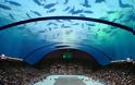Το πρώτο υποβρύχιο γήπεδο τένις του κόσμου στο Ντουμπάι - Φωτογραφία 6