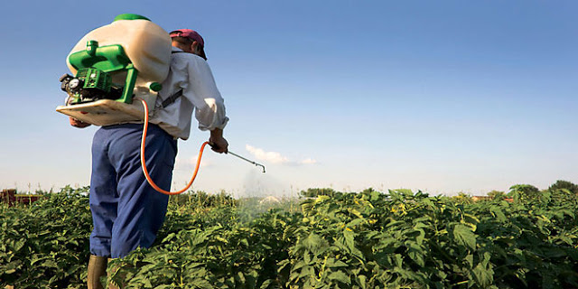 ΕΕ: Πλήρη απαγόρευση διαδεδομένων εντομοκτόνων μέχρι το τέλος του έτους - Φωτογραφία 1