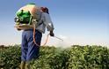 ΕΕ: Πλήρη απαγόρευση διαδεδομένων εντομοκτόνων μέχρι το τέλος του έτους