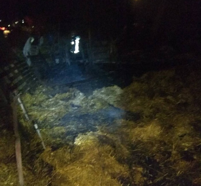 Φθιώτιδα: Κάηκαν ζώα από πυρκαγιά σε ποιμνιοστάσιο [photos] - Φωτογραφία 4